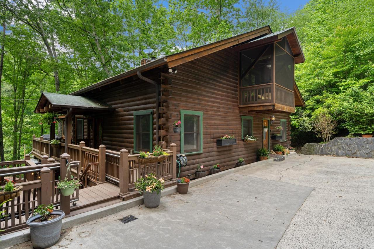 Nana'S Nest Villa Blue Ridge Exterior photo